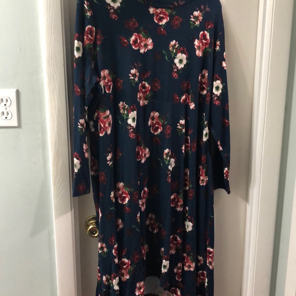 Piphany previously honey and lace worn one time